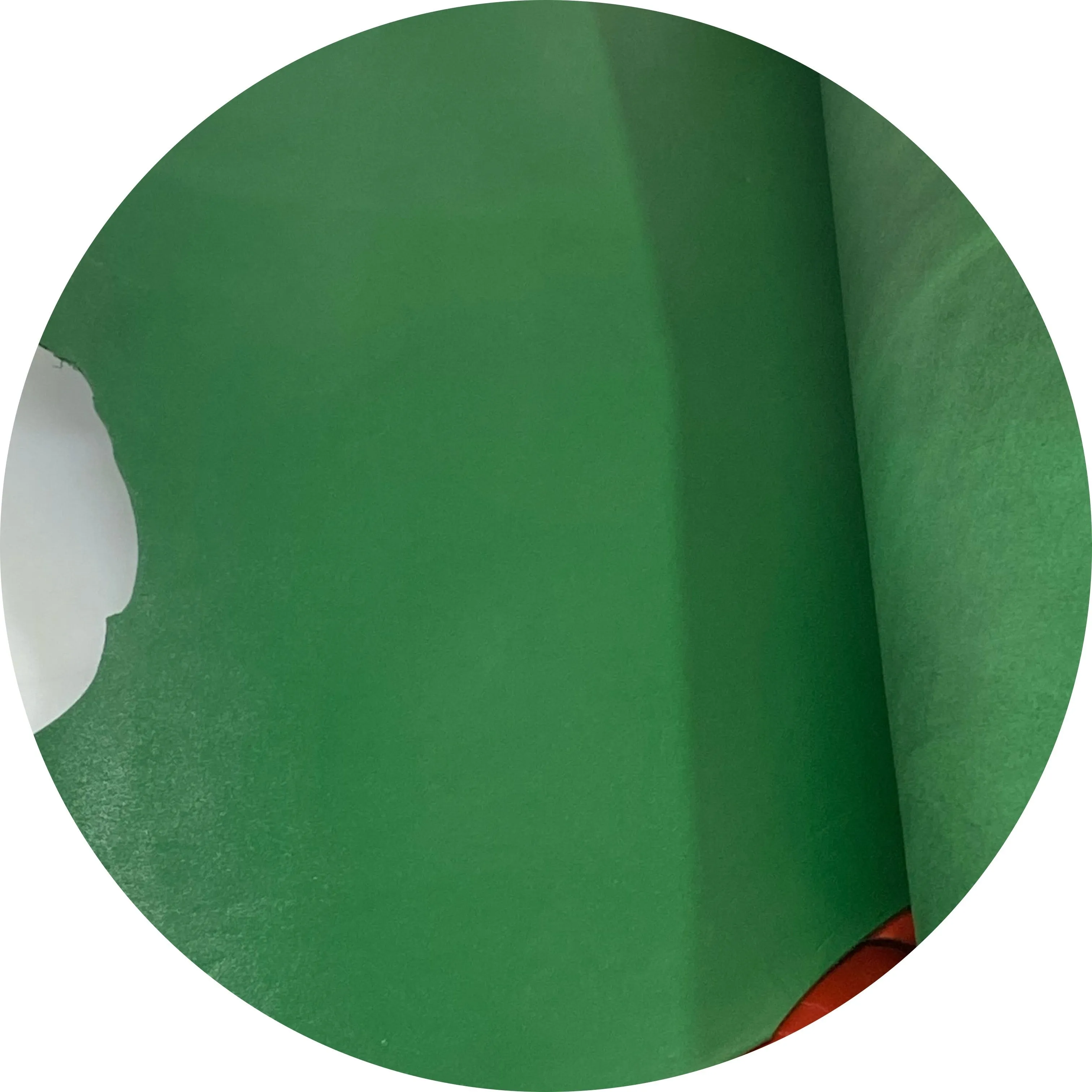 Kangaroo Leather Hide