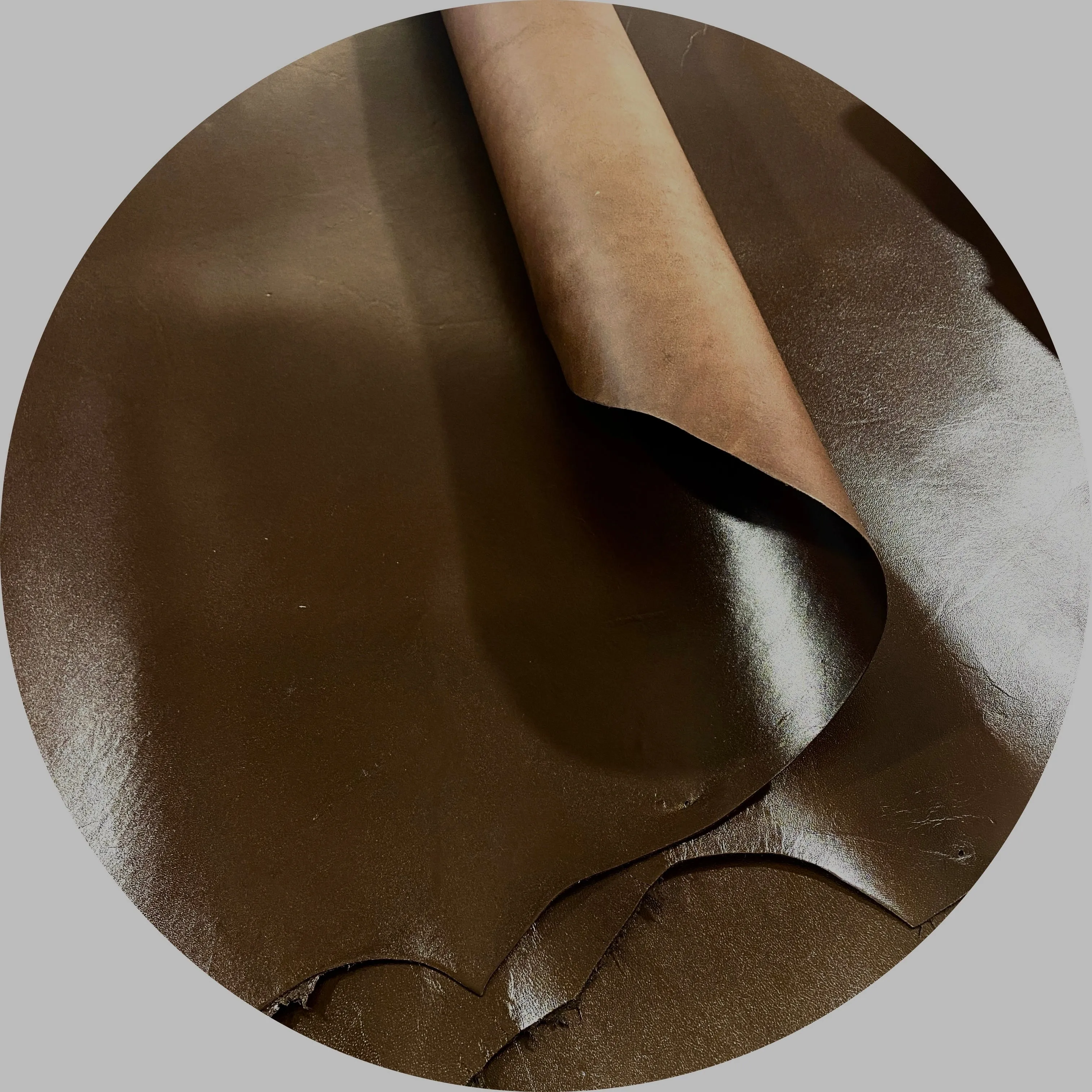 Kangaroo Leather Hide